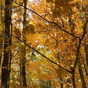 Meet your Posher, Aleen